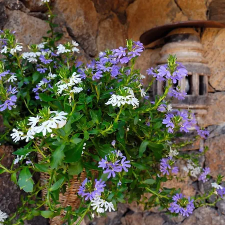 Castillo Lanzarote Bentley - Luxury -sleep In A Volcanic Cave